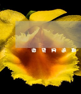 微贷网逾期多久拖车 微贷网逾期多久拖车