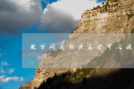 微贷网逾期开庭前可以调解吗