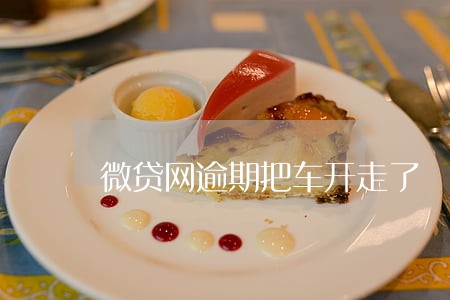 微贷网逾期把车开走了