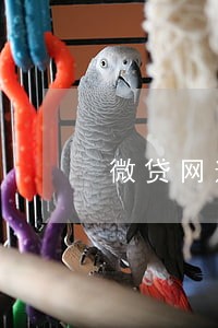 微贷网逾期拖车提前通知吗 微贷网逾期拖车提前通知吗