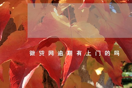 微贷网逾期有上门的吗 微贷网逾期有上门的吗