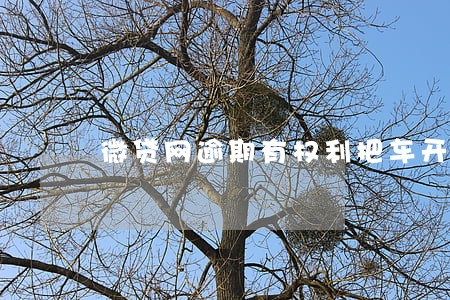 微贷网逾期有权利把车开走吗 微贷网逾期有权利把车开走吗
