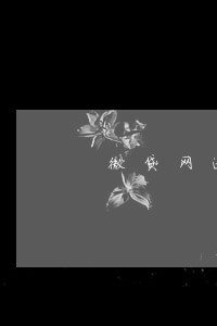 微贷网逾期爆雷时间2020 微贷网逾期爆雷时间2020