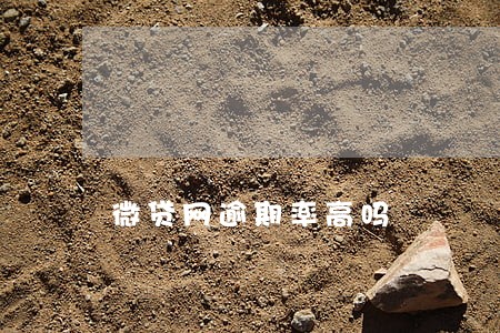 微贷网逾期率高吗 微贷网逾期率高吗