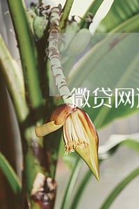 微贷网逾期的多吗 微贷网逾期的多吗