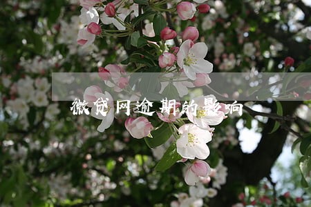 微贷网逾期的影响 微贷网逾期的影响