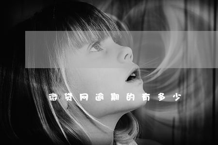 微贷网逾期的有多少