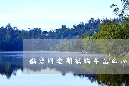 微贷网逾期被收车怎么办 微贷网逾期被收车怎么办