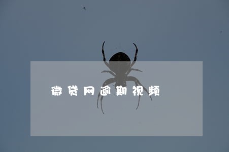 微贷网逾期视频 微贷网逾期视频