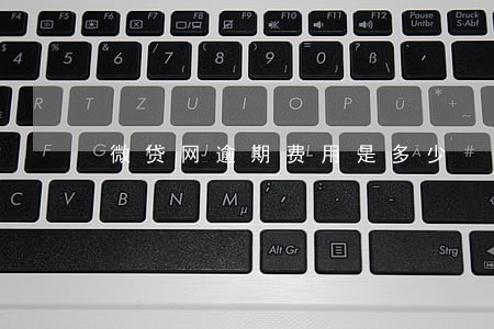 微贷网逾期费用是多少