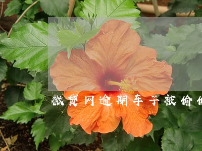 微贷网逾期车子被偷偷开走了 微贷网逾期车子被偷偷开走了