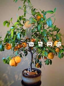微贷网逾期车被开走 微贷网逾期车被开走