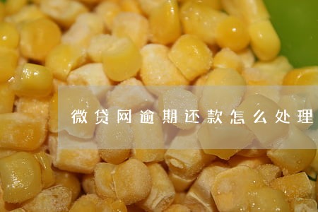 微贷网逾期还款怎么处理 微贷网逾期还款怎么处理