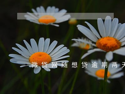 微贷网随想贷逾期两天 微贷网随想贷逾期两天