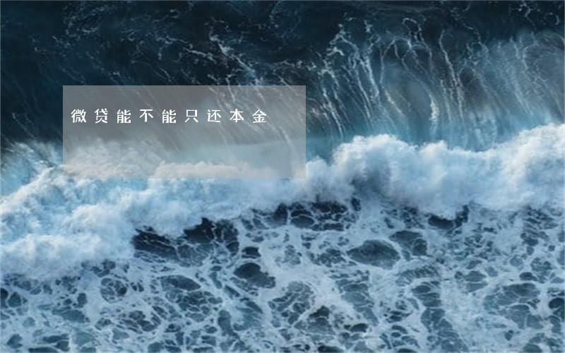微贷能不能只还本金 微贷能不能只还本金