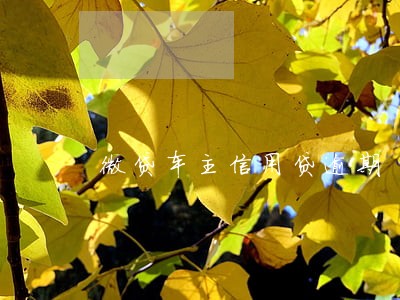 微贷车主信用贷逾期 微贷车主信用贷逾期