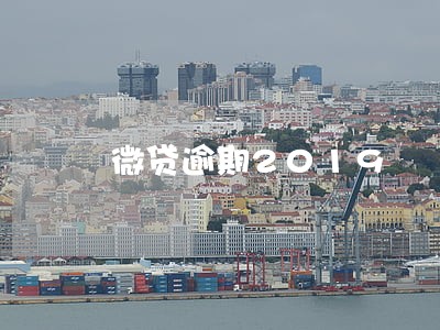 微贷逾期2019