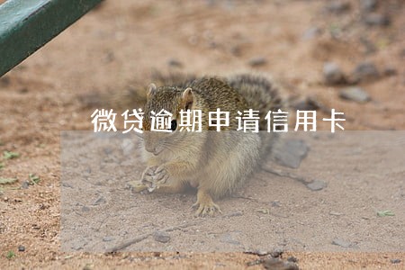 微贷逾期申请信用卡 微贷逾期申请信用卡