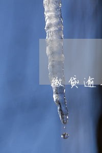 微贷逾期金额为0 微贷逾期金额为0