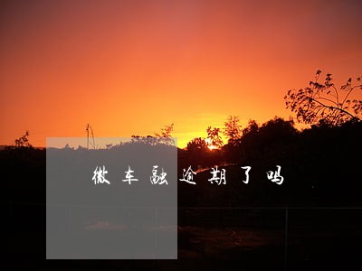 微车融逾期了吗 微车融逾期了吗