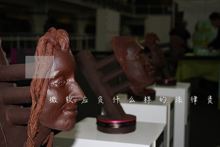 微软应负什么样的法律责任 微软应负什么样的法律责任