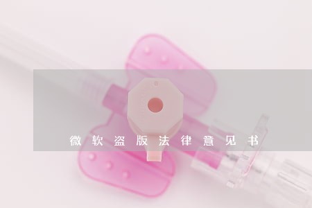 微软盗版法律意见书 微软盗版法律意见书