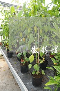微银理财回款逾期 微银理财回款逾期
