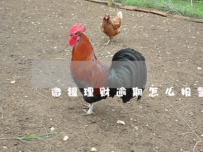 微银理财逾期怎么报警 微银理财逾期怎么报警