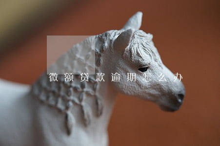 微额贷款逾期怎么办 微额贷款逾期怎么办