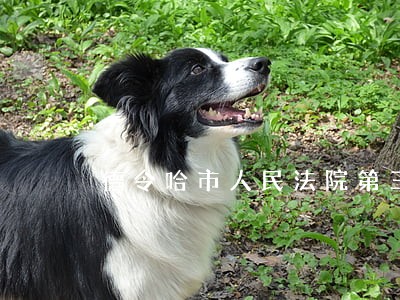 德令哈市人民法院第三批入额
