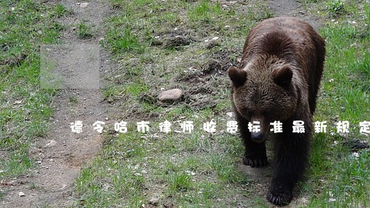 德令哈市律师收费标准最新规定 德令哈市律师收费标准最新规定