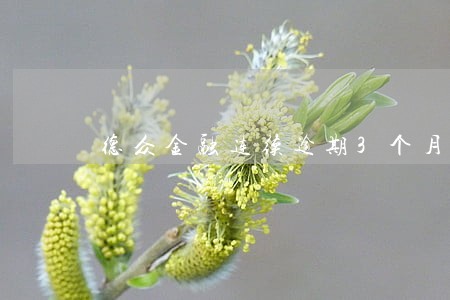 德众金融连续逾期3个月 德众金融连续逾期3个月