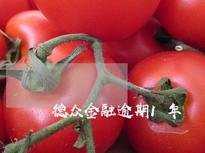 德众金融逾期1年 德众金融逾期1年