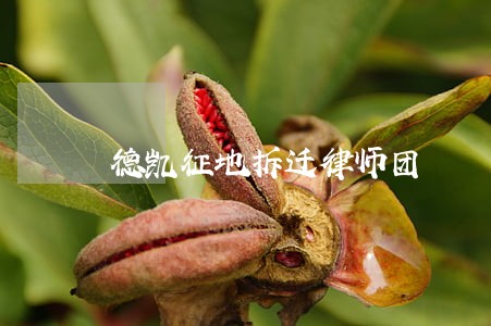 德凯征地拆迁律师团 德凯征地拆迁律师团