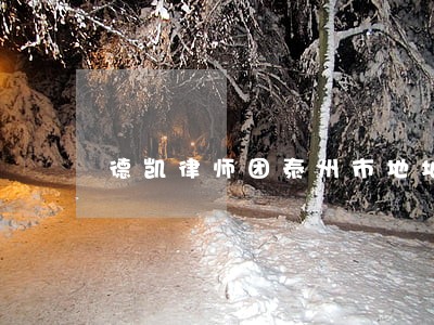 德凯律师团泰州市地址