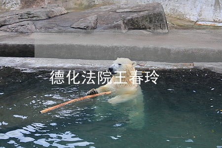 德化法院王春玲 德化法院王春玲