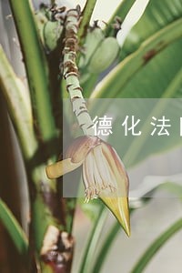 德化法院知识产权庭揭牌 德化法院知识产权庭揭牌