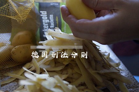 德国刑法分则 德国刑法分则