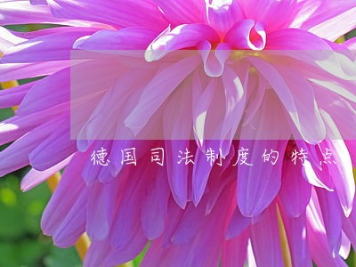 德国司法制度的特点 德国司法制度的特点