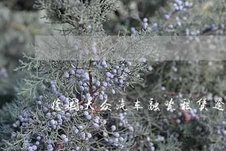 德国大众汽车融资租赁逾期1天 德国大众汽车融资租赁逾期1天