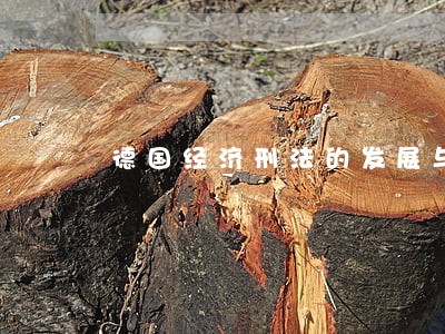 德国经济刑法的发展与现状 德国经济刑法的发展与现状