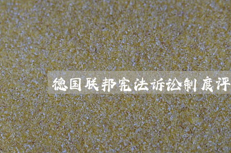 德国联邦宪法诉讼制度评介