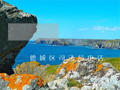 德城区司法局电话 德城区司法局电话
