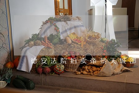 德安法院拍卖帝景天城部分商品房 德安法院拍卖帝景天城部分商品房