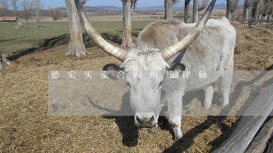 德宏买卖合同纠纷律师 德宏买卖合同纠纷律师