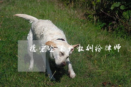 德宏企业产权纠纷律师 德宏企业产权纠纷律师