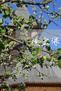德宏保密合同纠纷处理律师 德宏保密合同纠纷处理律师