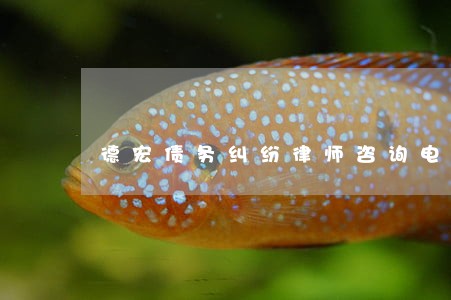 德宏债务纠纷律师咨询电话 德宏债务纠纷律师咨询电话