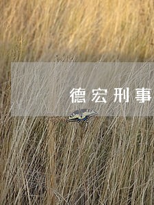 德宏刑事律师如何委托