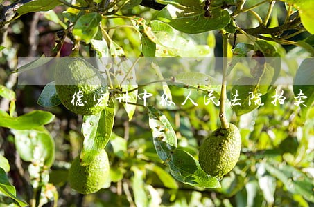 德宏卅中级人民法院拍卖网